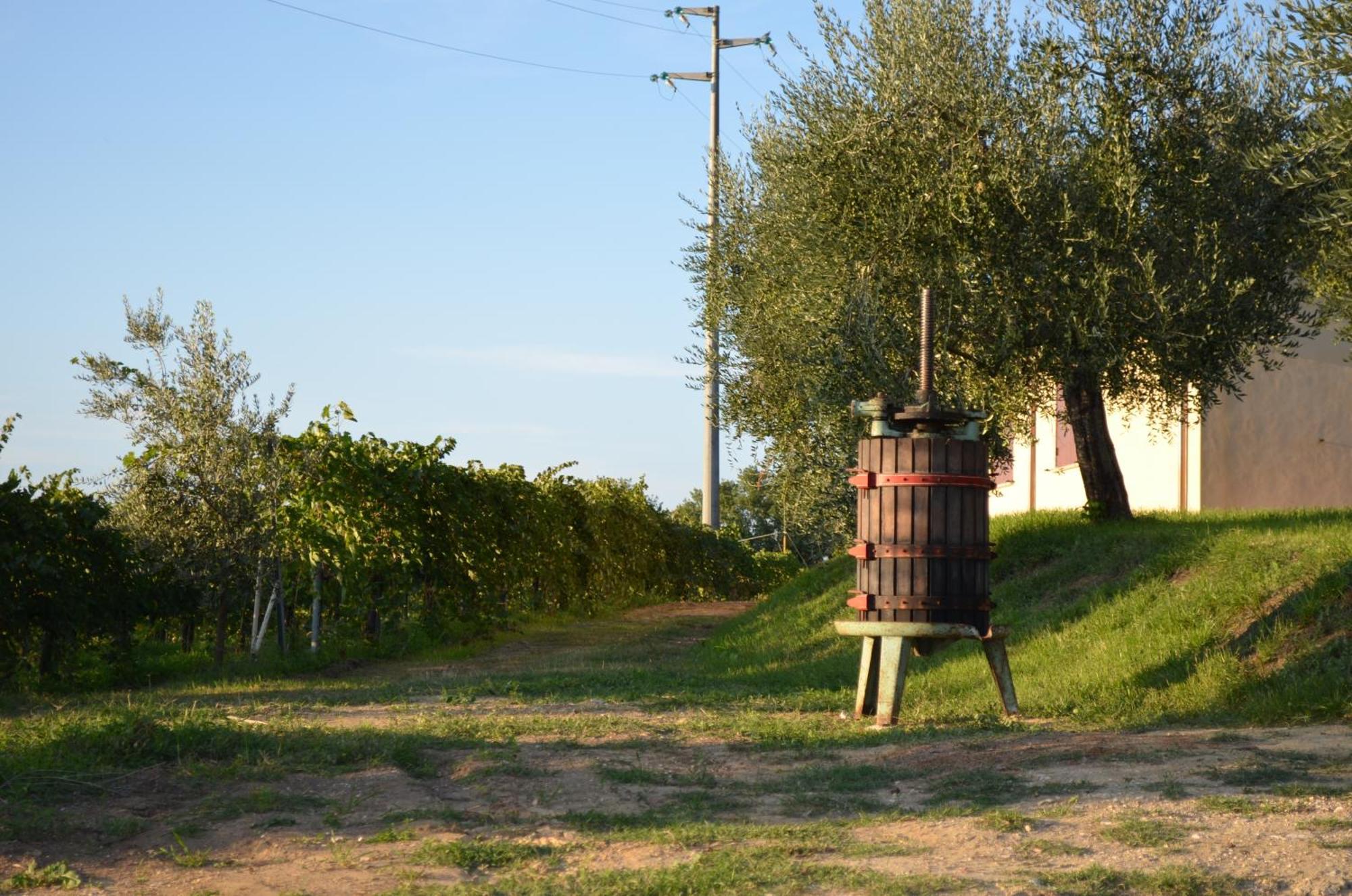 Agriturismo Casale Contessa Montebuono  Kültér fotó