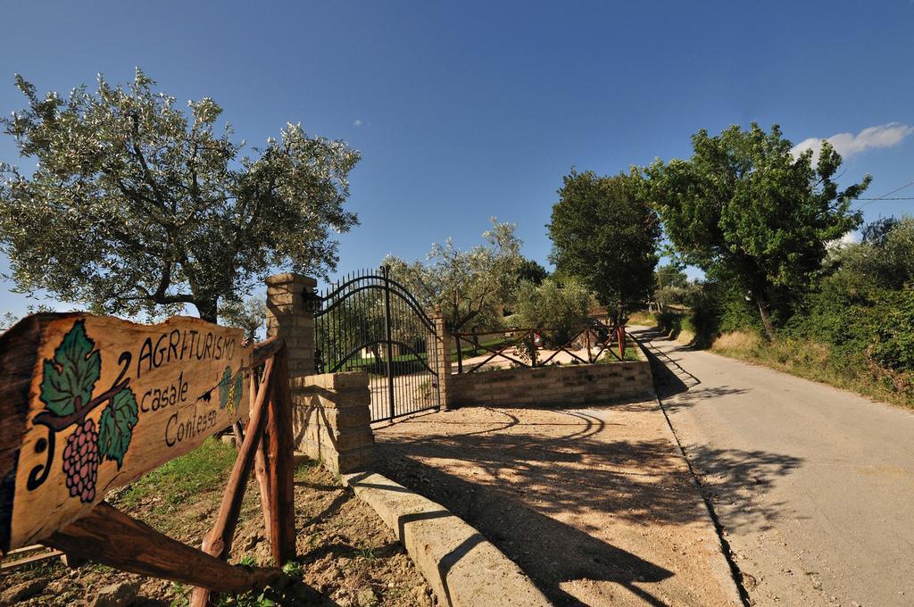 Agriturismo Casale Contessa Montebuono  Kültér fotó