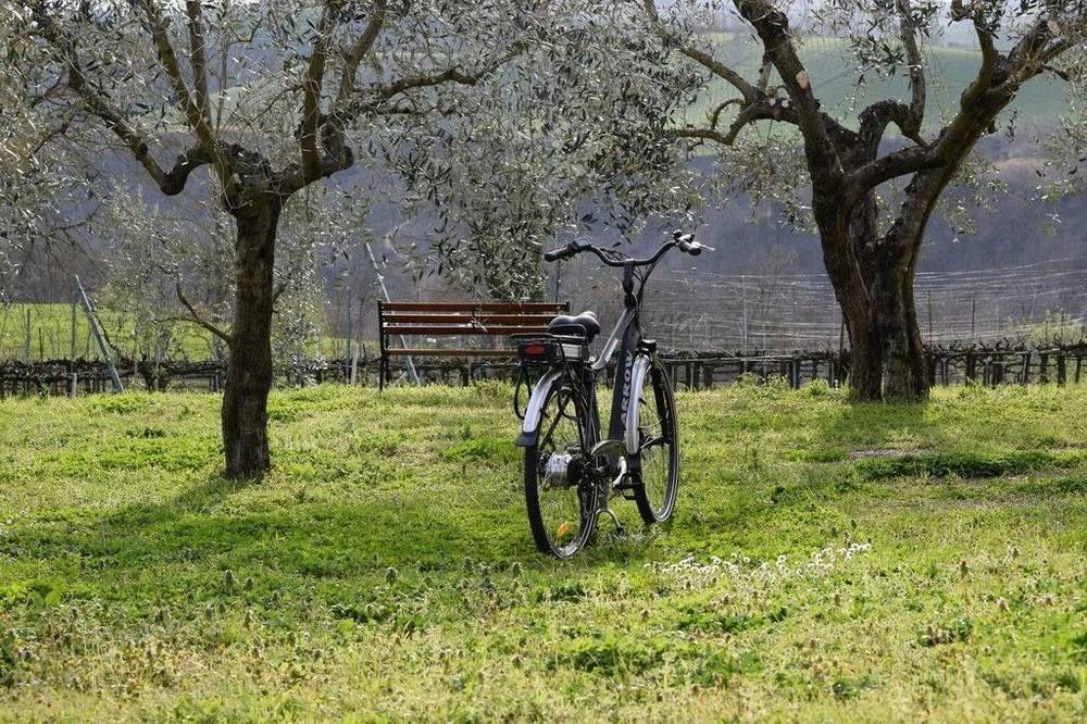 Agriturismo Casale Contessa Montebuono  Kültér fotó
